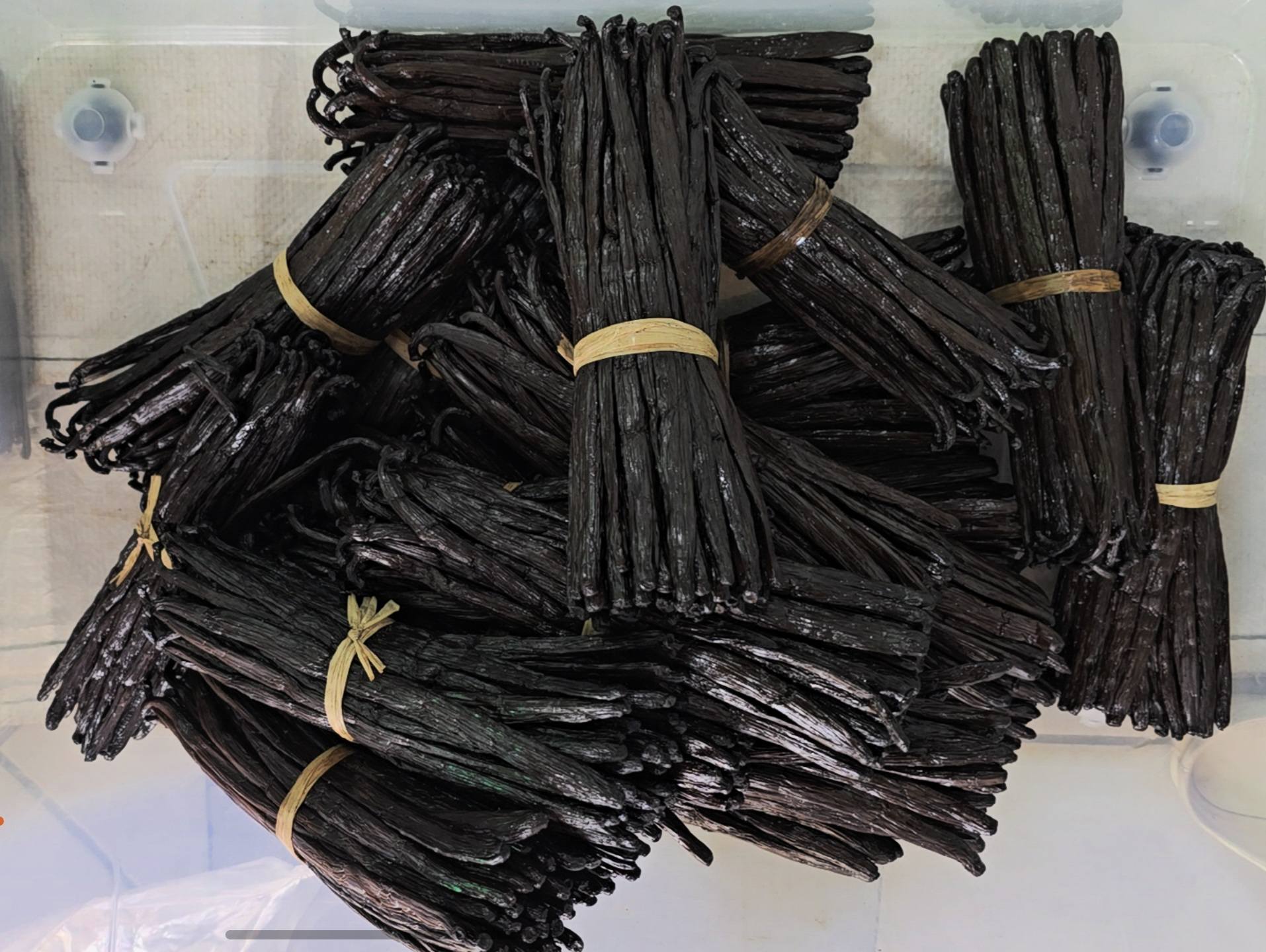 How can you recognise genuine Gourmet vanilla?