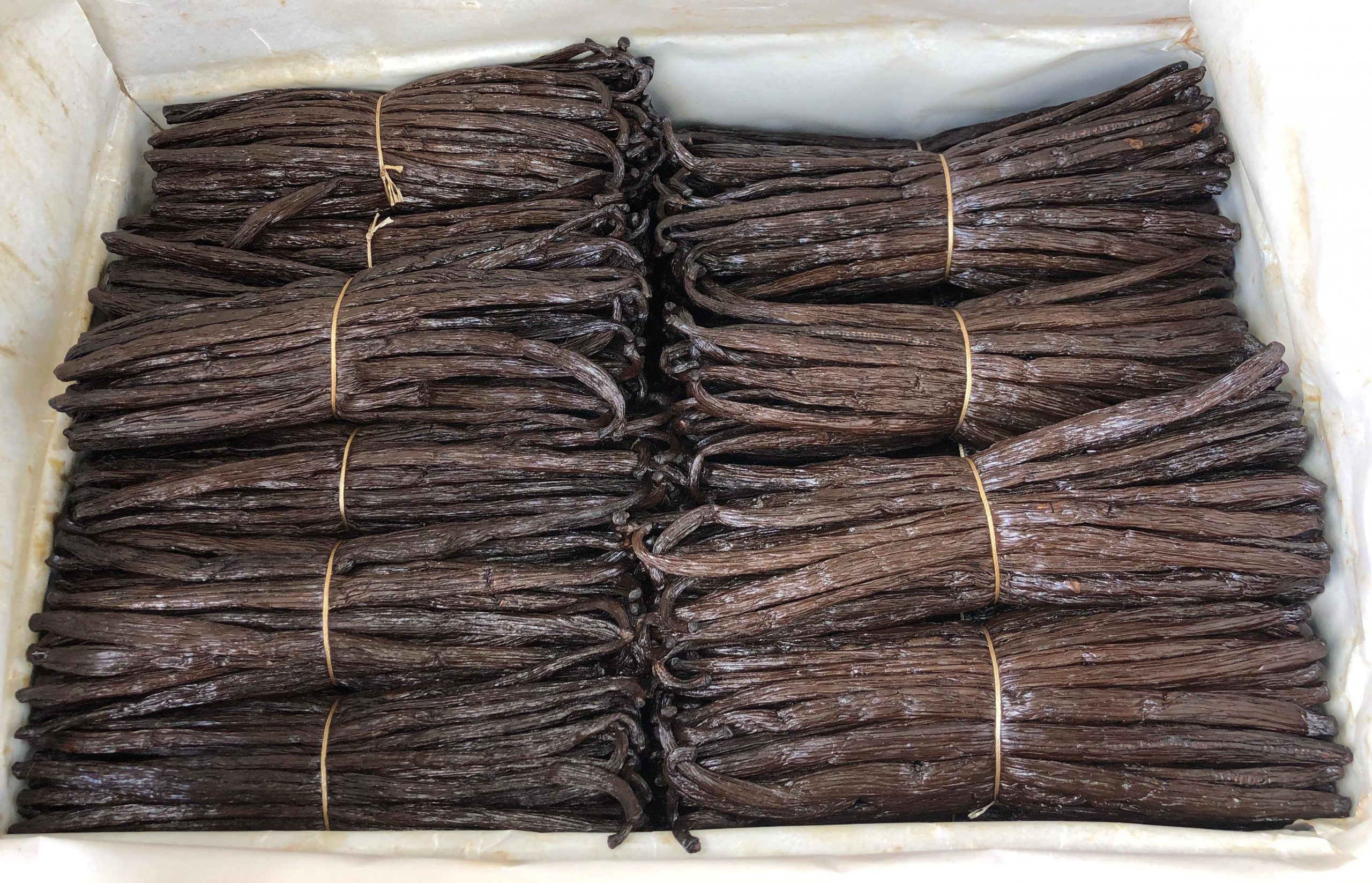 Gourmet, Rouge, TK, Cuts: which grade to choose?