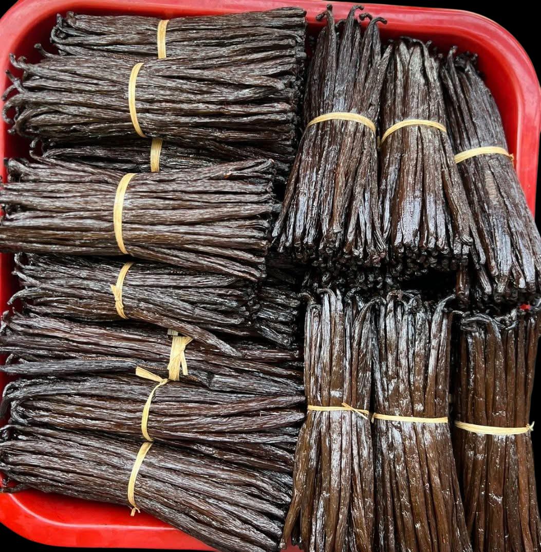 Madagascar Bourbon Vanilla Prices 2024-2026: trends, analysis and outlook